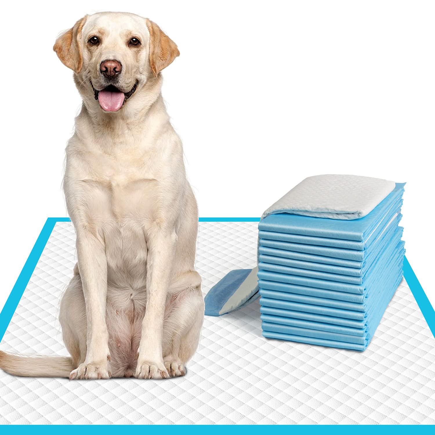 IMMCUTE pad de entrenamiento para perros 28x34, ideal para uso diario.