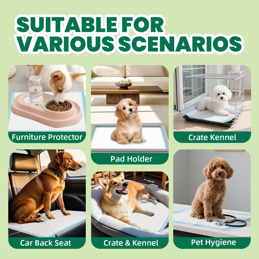 Duradera para mascotas activas gracias a su construcción resistente