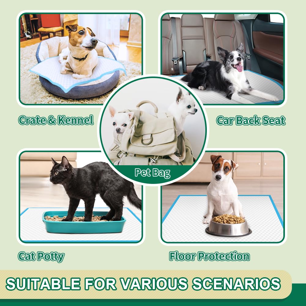 IMMCUTE ideal para cachorros, adultos y mascotas pequeñas.