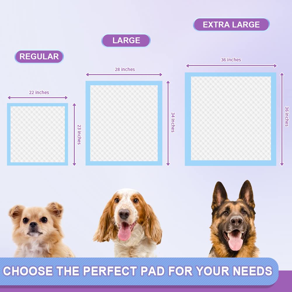 IMMCUTE tamaño 22x23, compatible con cachorros y mascotas pequeñas.