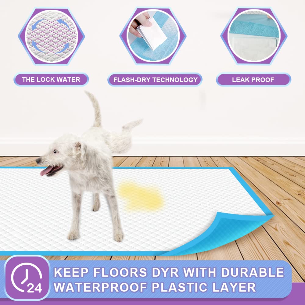 IMMCUTE tecnología secado rápido mantiene la superficie más seca.