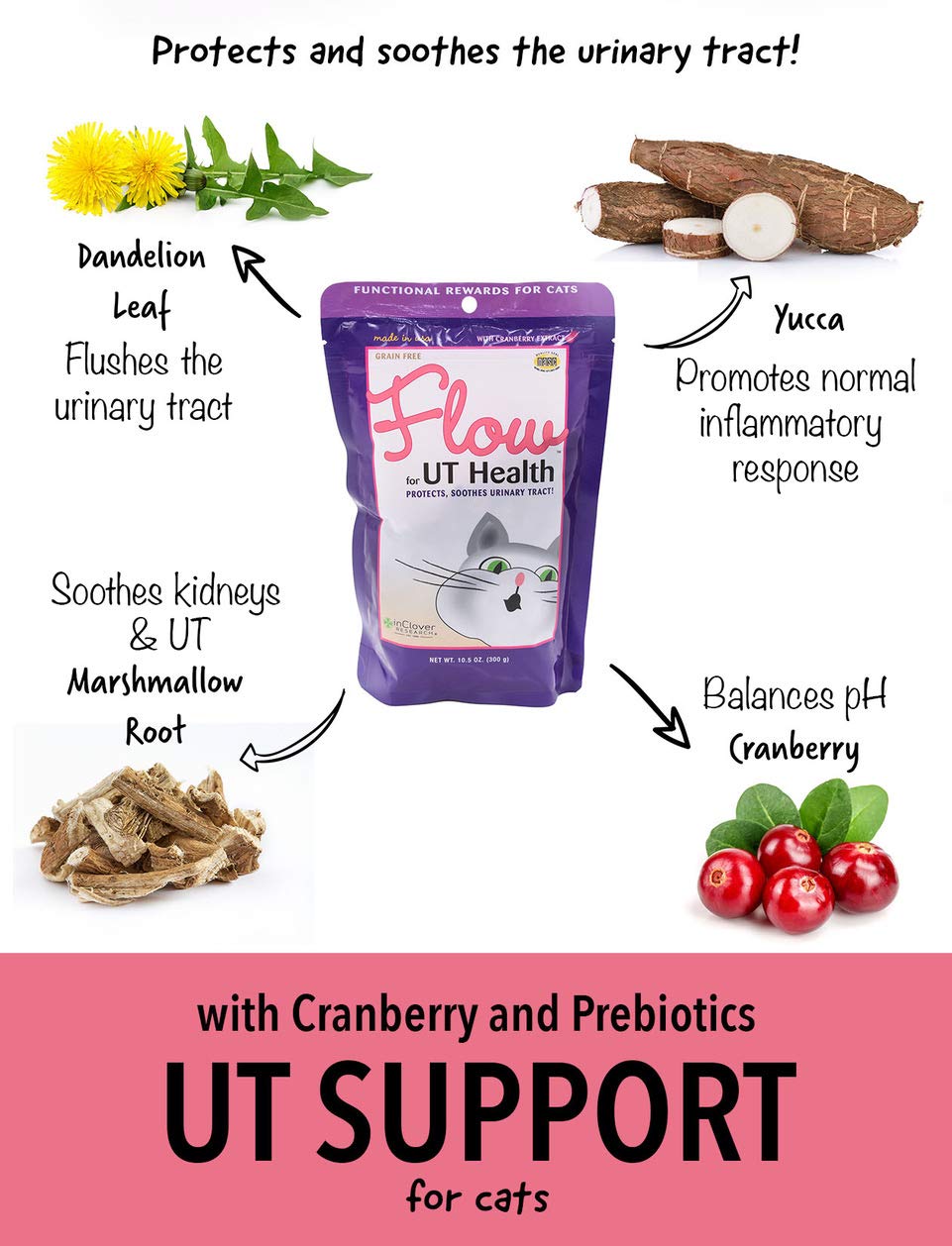In Clover Flow bote de ingredientes naturales: apoyo digestivo y urinario.