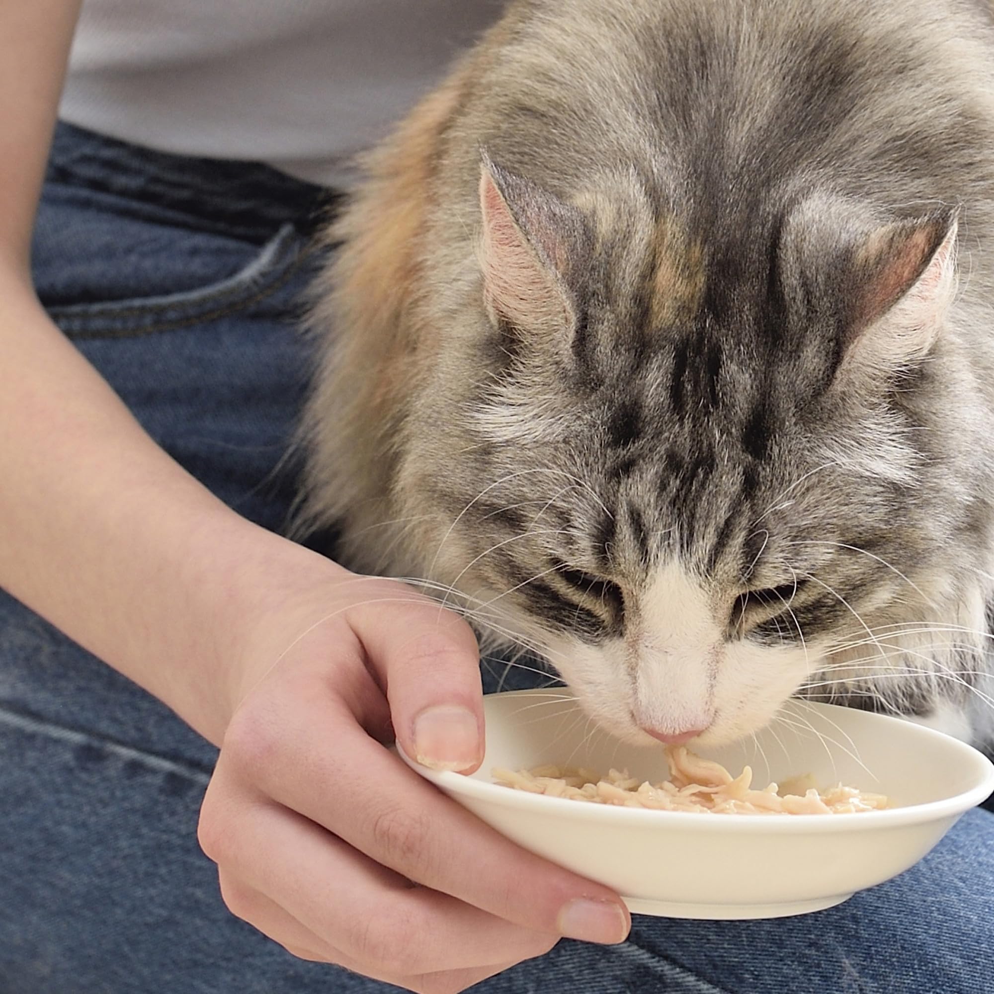 Bouillon INABA pour chat favorisant l'hydratation et l'appétit lors des repas.