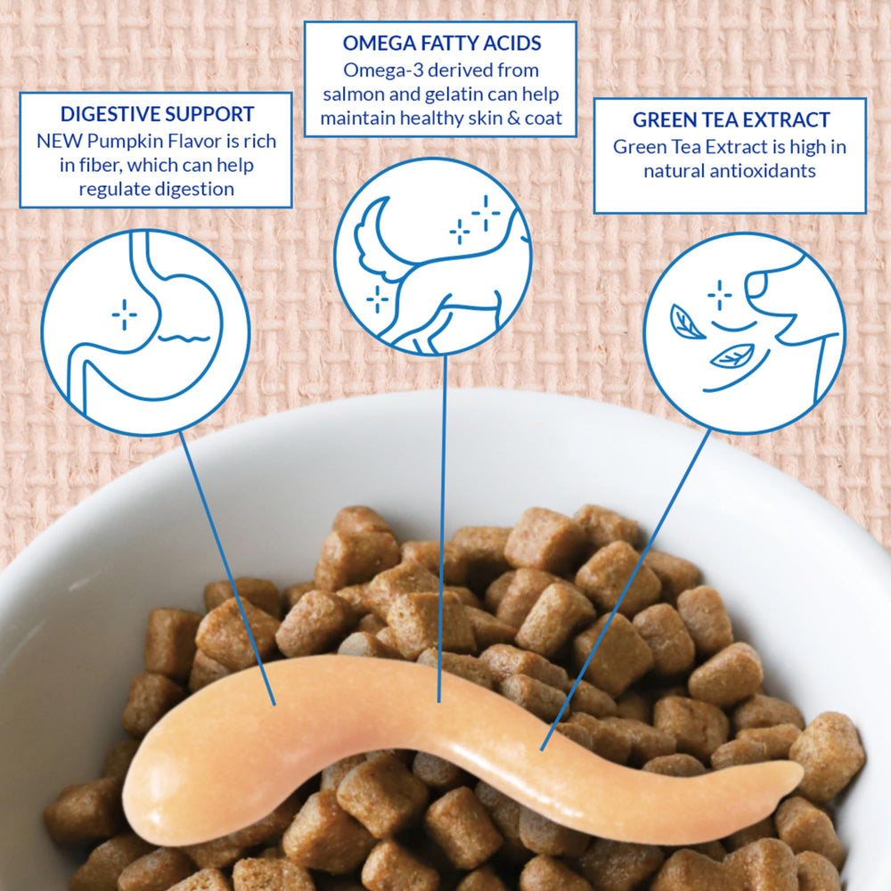 INABA Churu puré cremoso como comida completa y balanceada para perros.