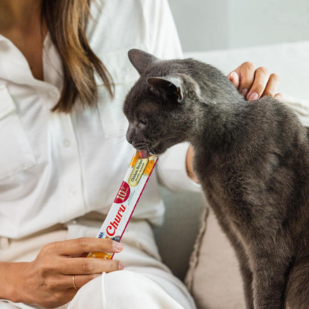 Selección de sabores de INABA Churu Senior para gatos mayores.