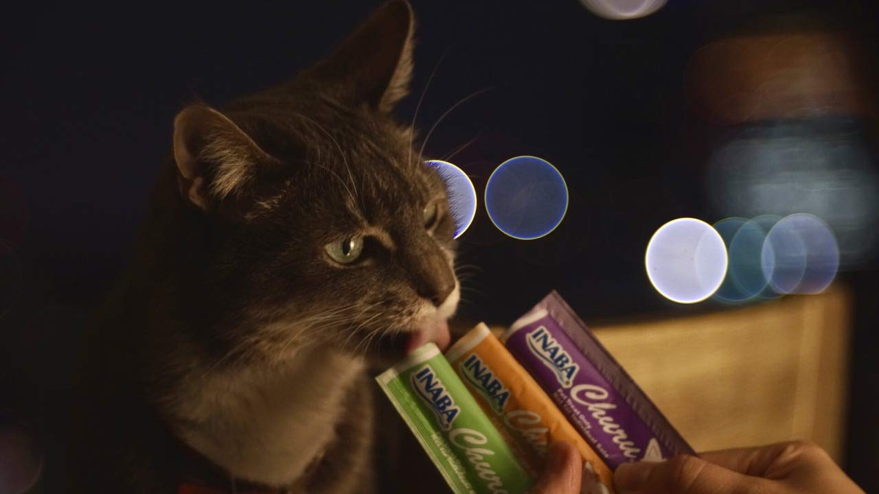 INABA Churu, variedad de sabores para gatos de todas las edades.