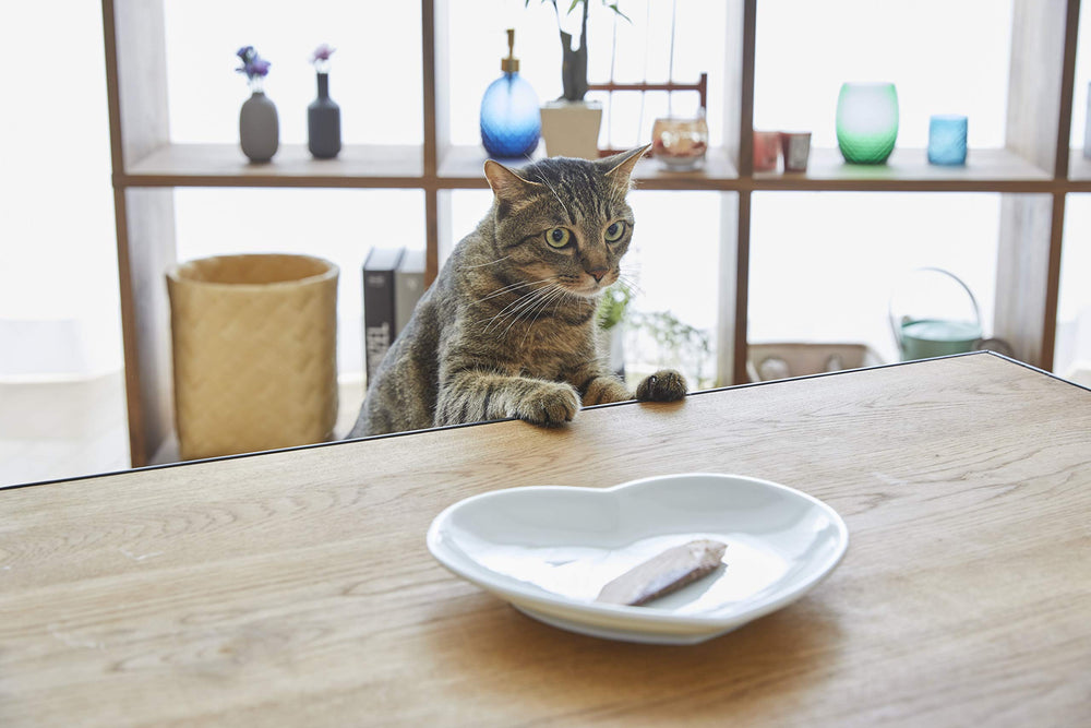 Sin granos y sin conservantes INABA Ciao, opción para gatos sensibles