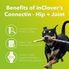 In Clover Connectin polvo para espolvorear sobre la comida de tu mascota.