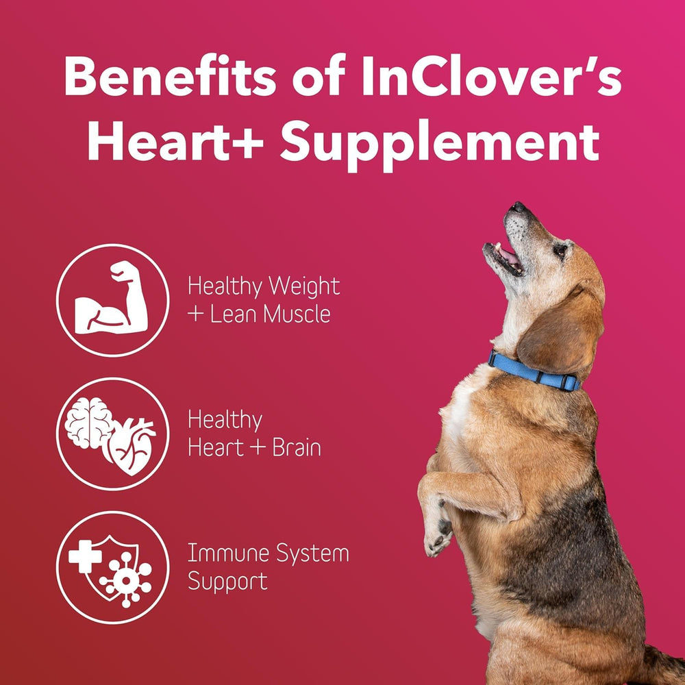 InClover Heart+ etiqueta frontal mostrando taurina y beneficios para el corazón
