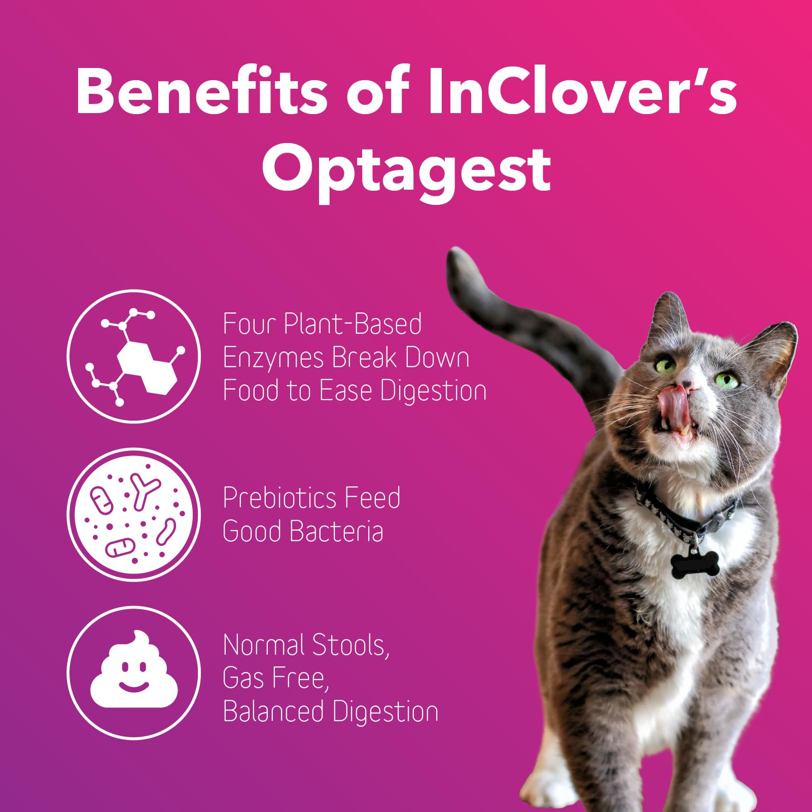 InClover Optagest espolvorear sobre alimento facilita la dosis diaria
