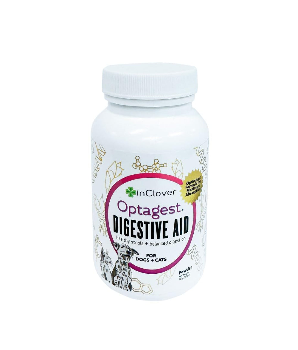 InClover Optagest polvo digestivo para mascotas mejora la absorción de nutrientes