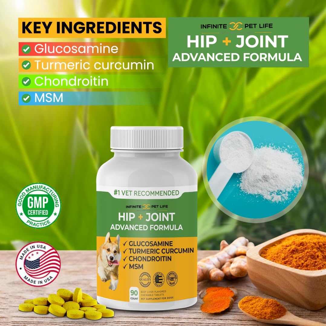 Infinite Pet Supplements, perro senior relajado, posible alivio para una mayor tranquilidad diaria.