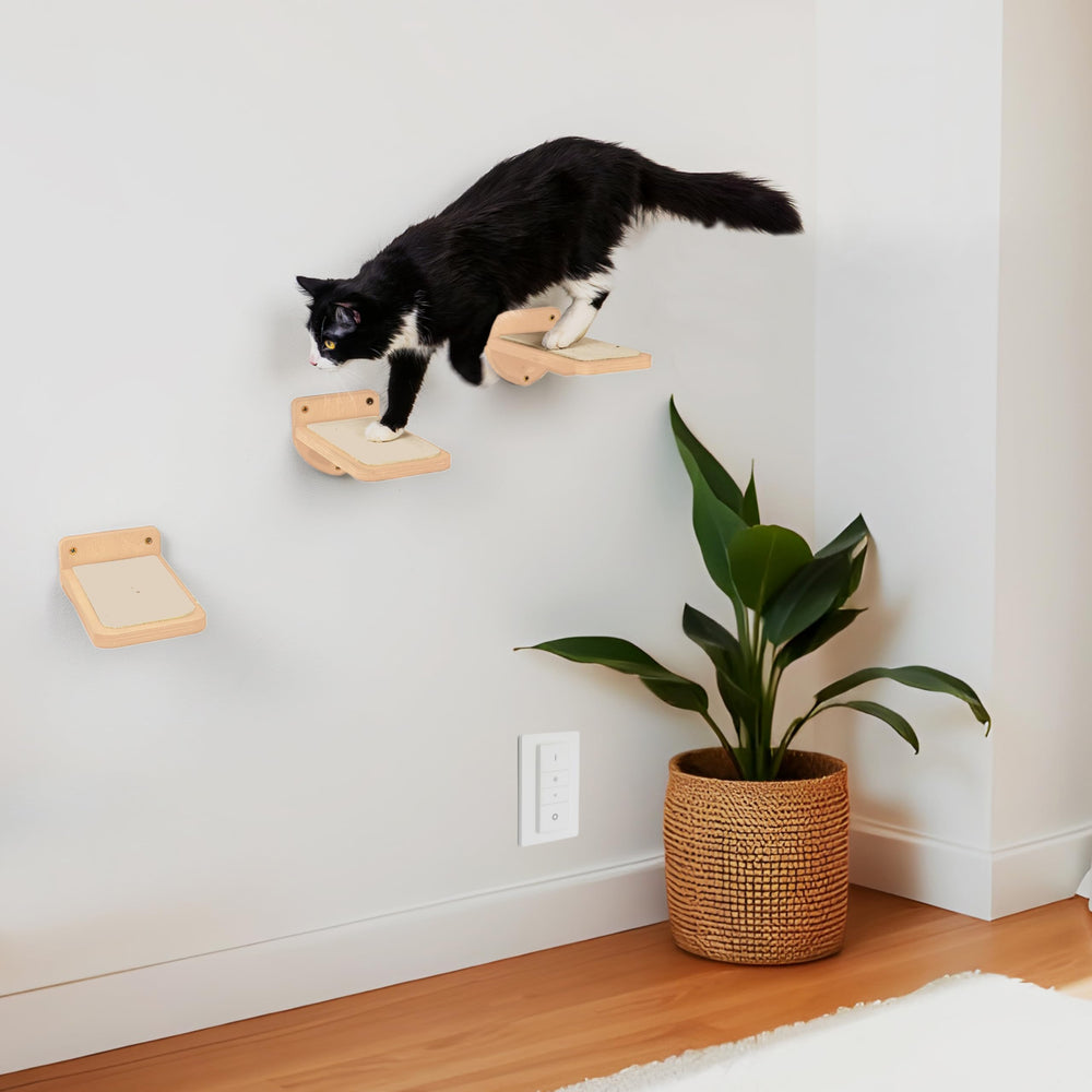 INICIO Escaleras de pared aptas para gatitos y gatos adultos gracias a su estabilidad.