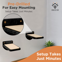 INICIO Gatos suben escaleras de pared, acceso cómodo a estantería favorita.