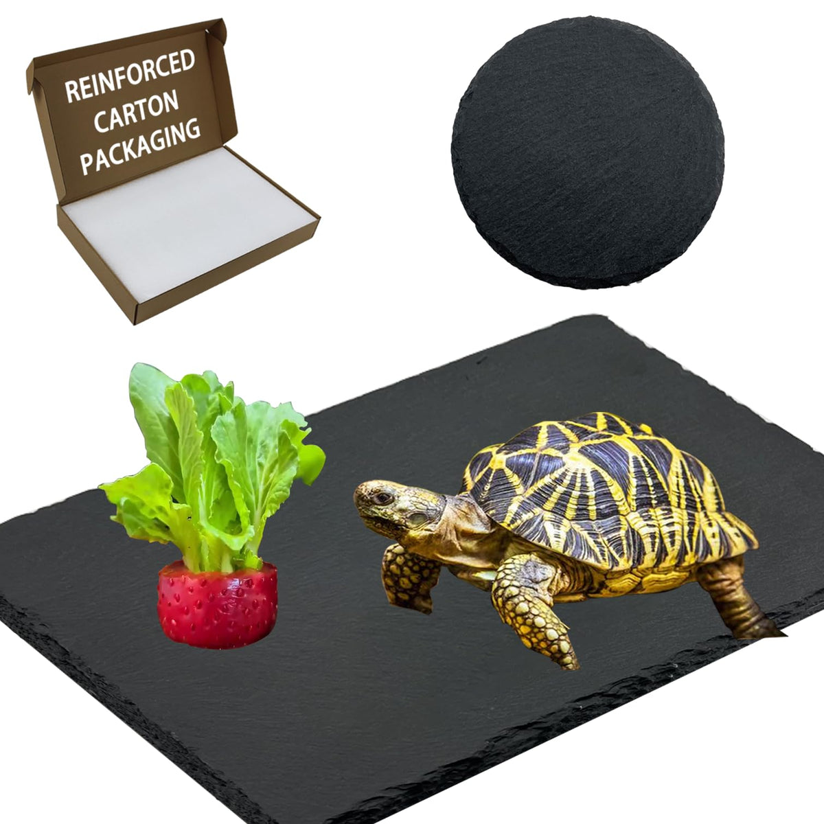 Plataforma de calentamiento rectangular INOSCIND 11-8x6 para reptiles.