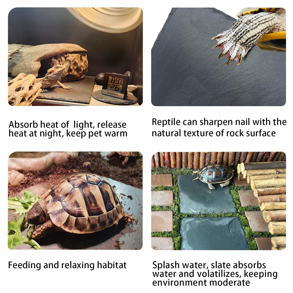 Rocas de pizarra multifunción INOSCIND para terrario y reposo.