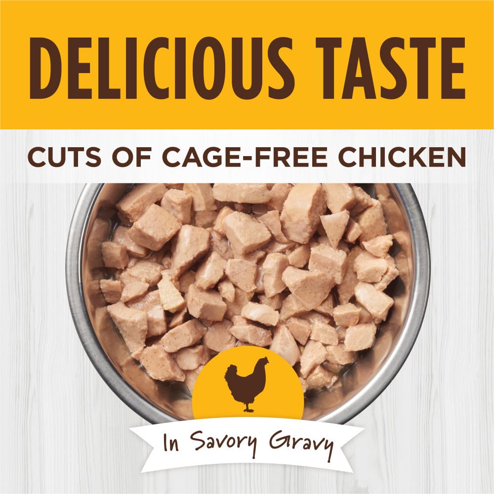 Instinct Healthy Cravings en salsa sabrosa, añade humedad y sabor a cada comida.