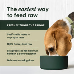 Instinct FreshDried Bites, ingredientes naturales visibles para dieta equilibrada.