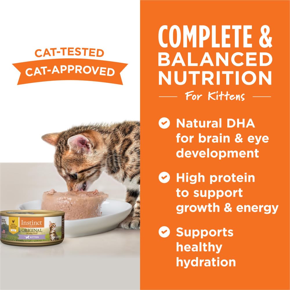 Instinct Gatito con frutas y verduras para nutrición completa