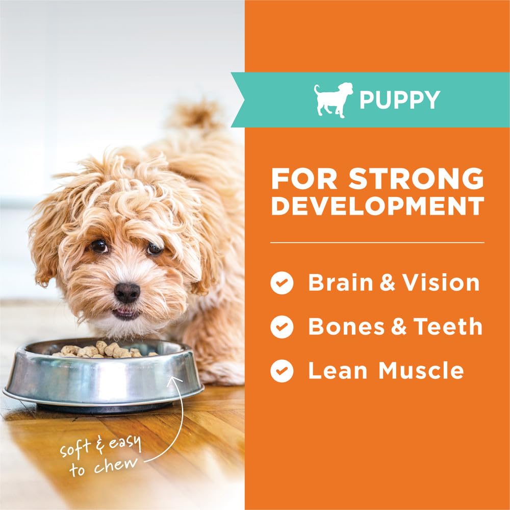 Instinct Puppy FreshDried Bites: saco de tres onzas, conveniencia para la alimentación