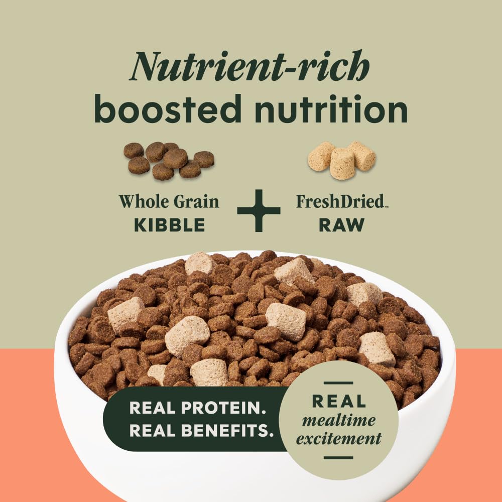 Bocados proteínicos de salmón de Instinct RawBoost para una dieta equilibrada.