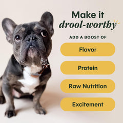 Instinct RawBoost con pollo y hígado ofrece proteína real y sabor.