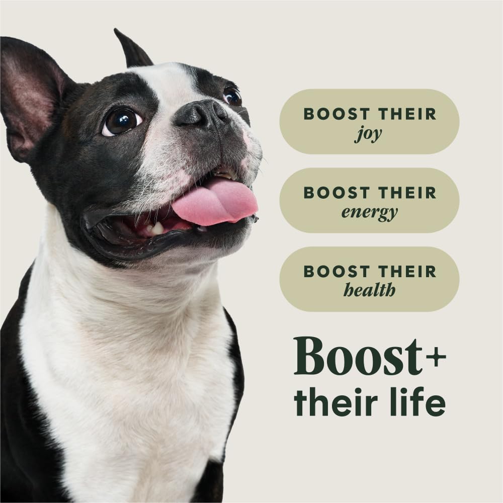 Instinct RawBoost sin granos con pollo, apto para perros sensibles