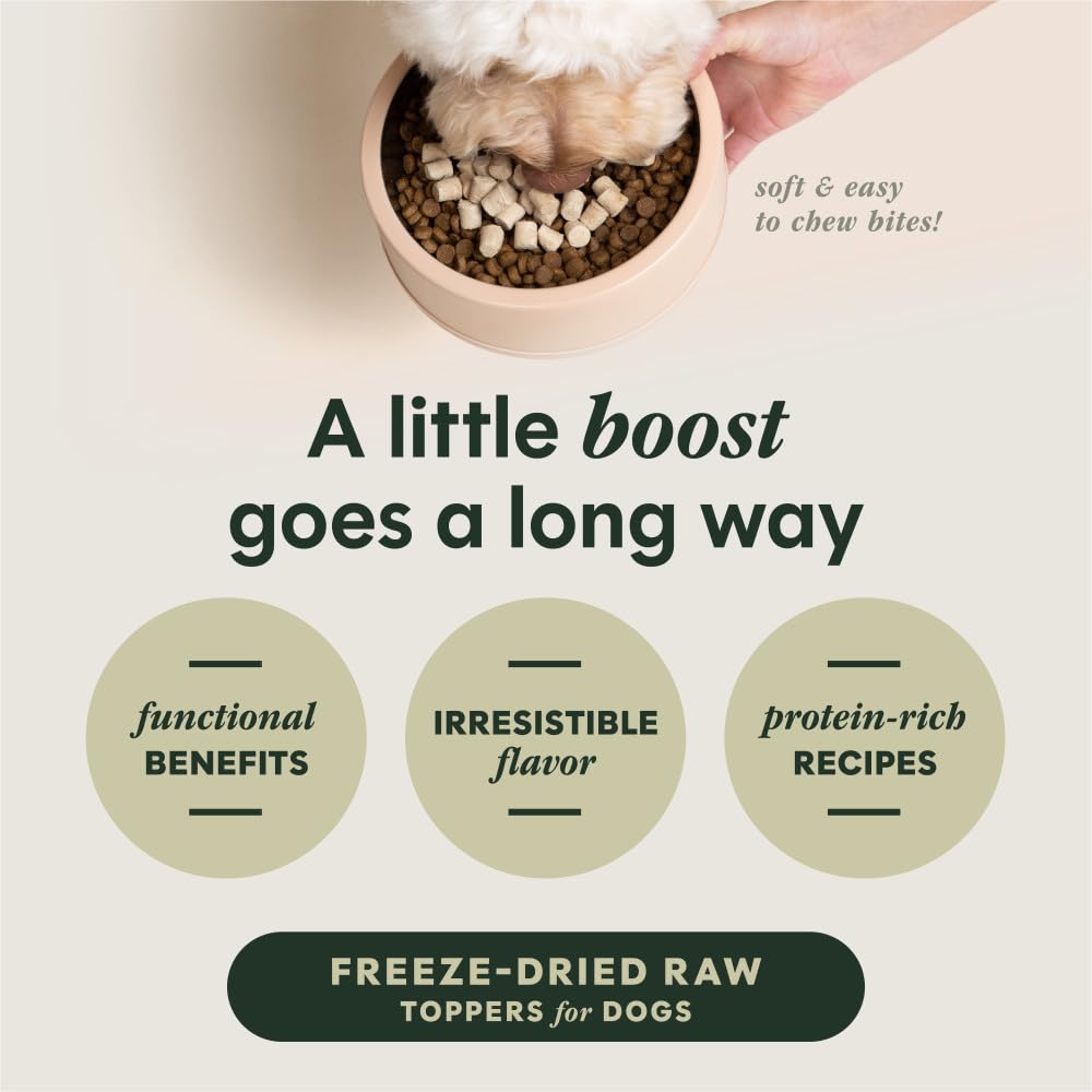 Instinct RawBoost Tranquilidad en bol de alimento para textura atractiva.