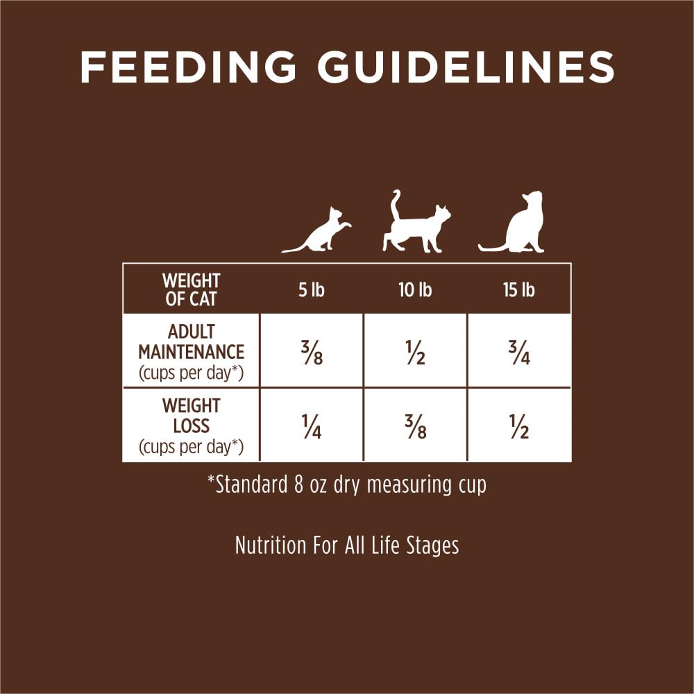 Dieta equilibrada para gatos de interior y exterior