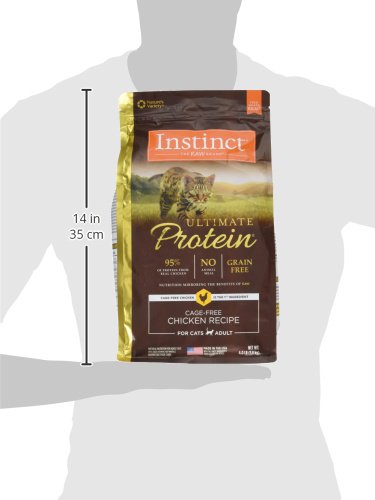 Probióticos vivos para apoyar la digestión y la salud intestinal.