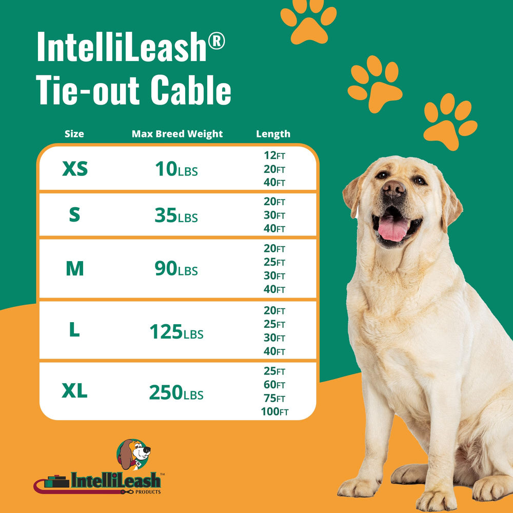 Intellileash ganchos de acero con doble giro: evita enredos durante salidas al exterior.