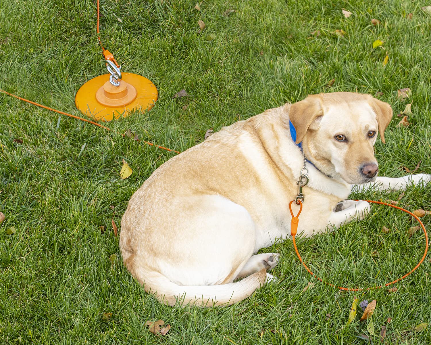 Intellileash protección anticorrosión: materiales duraderos para uso prolongado.