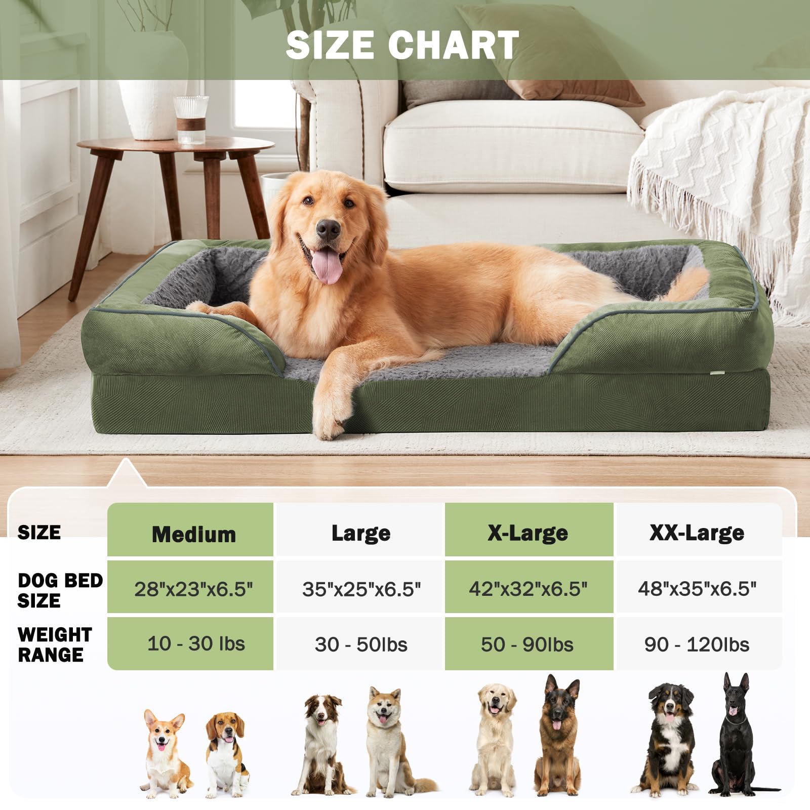 INVENHO cama para perro base antideslizante, estabilidad en suelos