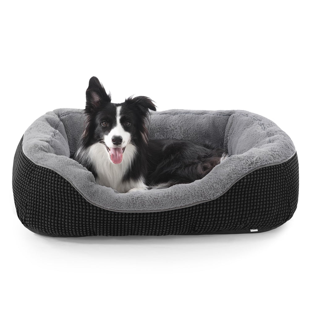 Cama INVENHO ortopédica acolchada con bordes amplios para mayor comodidad del perro.