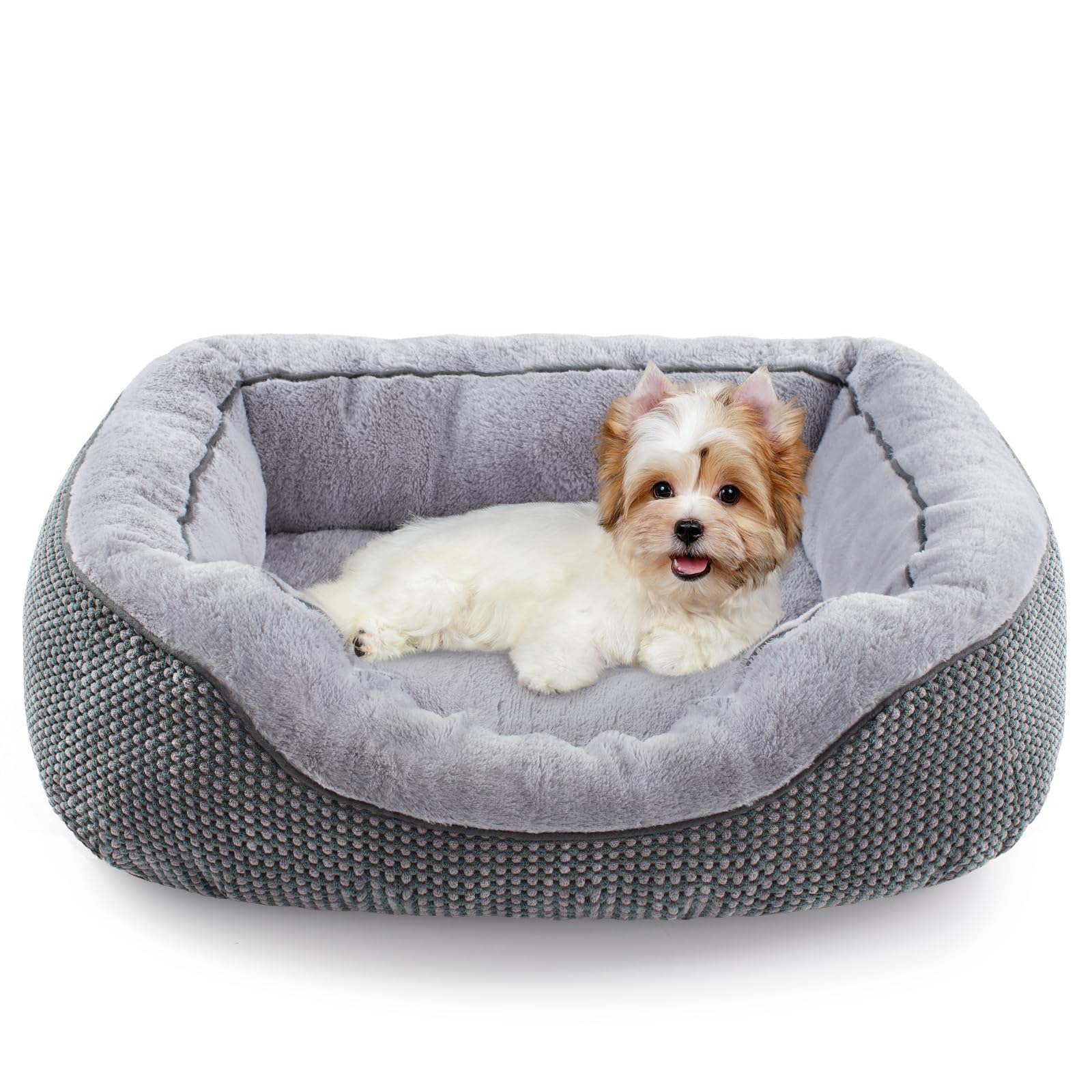 Cama INVENHO para perros pequeños, superficie ortopédica y lavable para uso diario