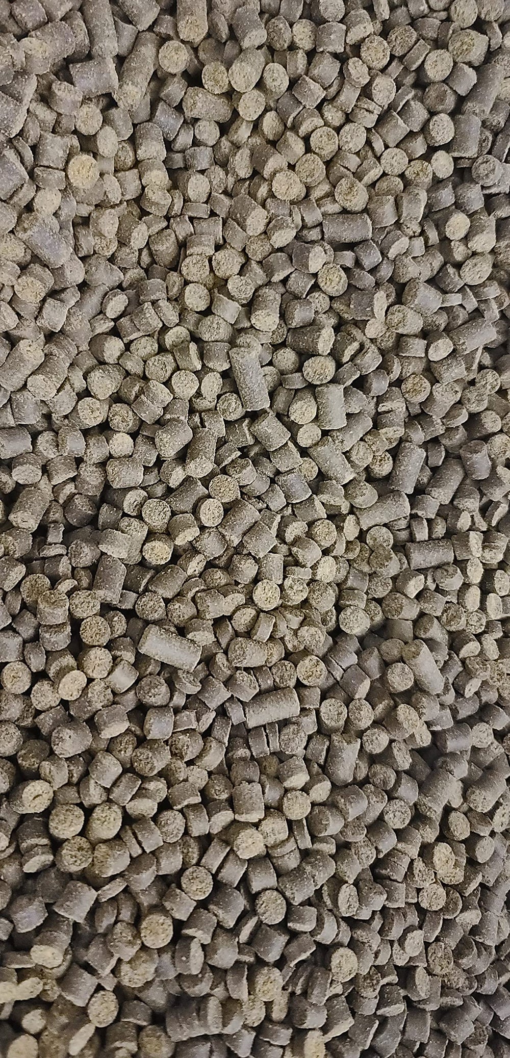 Pellets aromaticos de Invert Aquatics estimulan el olfato y fomentan el interés por la comida.