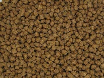 Nutrispheres de Invert Aquatics: alimento para caracolas con nutrición equilibrada para crecimiento y salud.