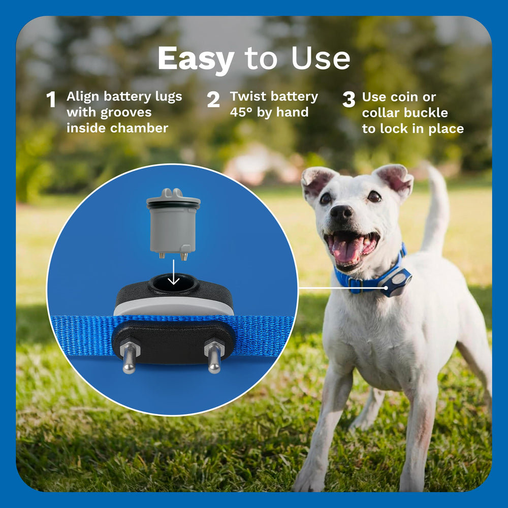 Power Cap compatible con collares Invisible Fence, ideal para mantener la cobertura estable.