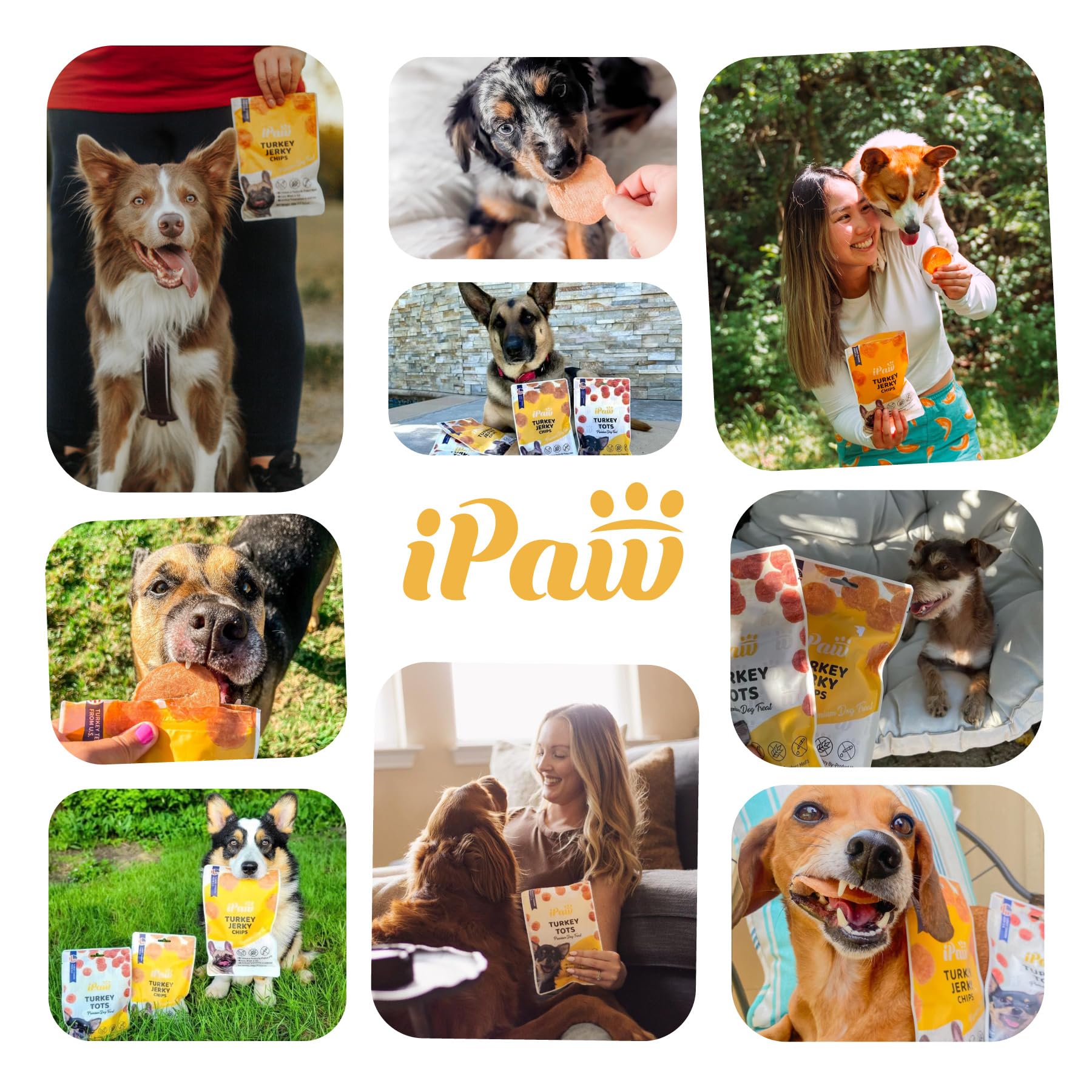 iPaw 2 Saver Combo apto para todas las etapas: sabroso y fácil de masticar.