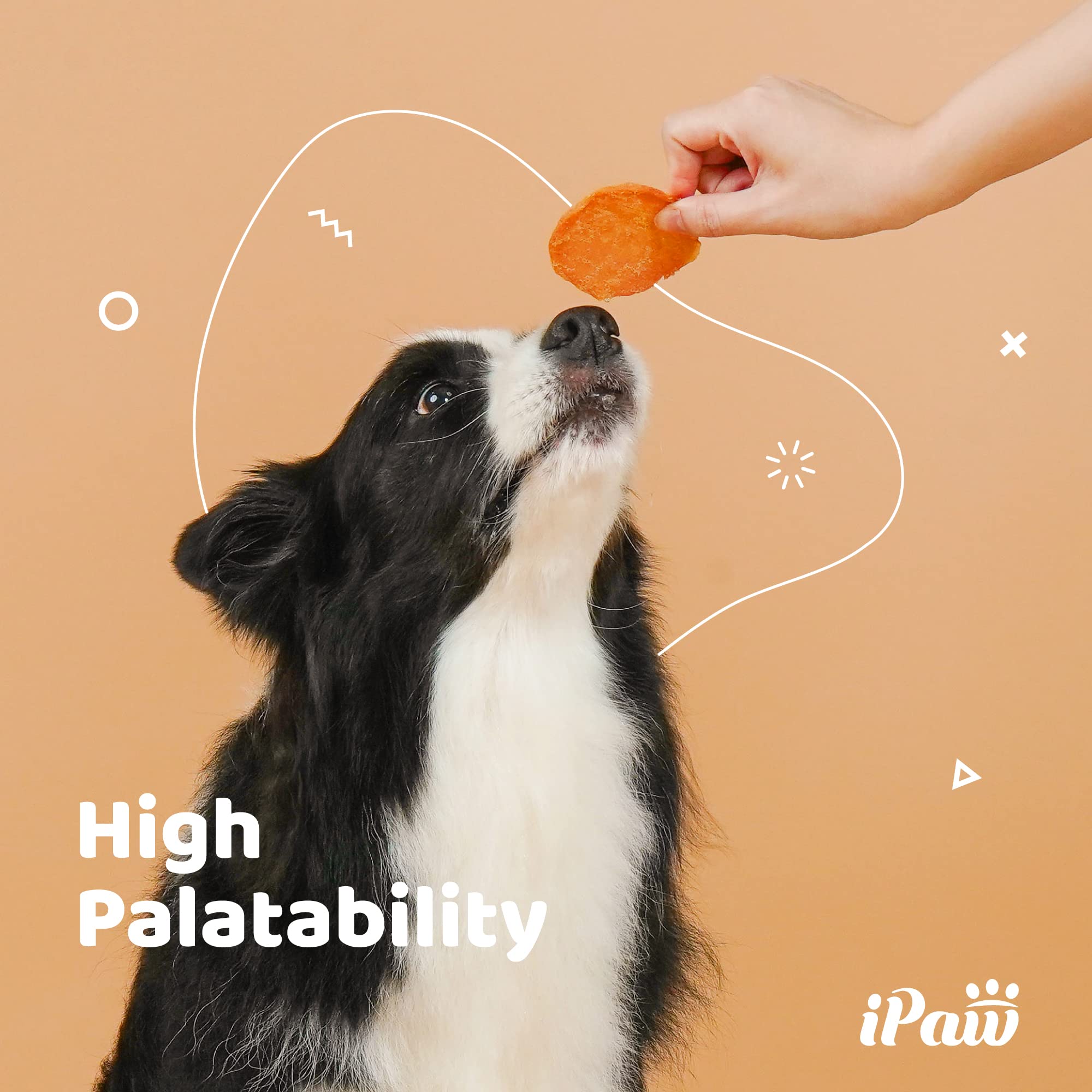 iPaw 2 Saver Combo envase doble para almacenamiento práctico.