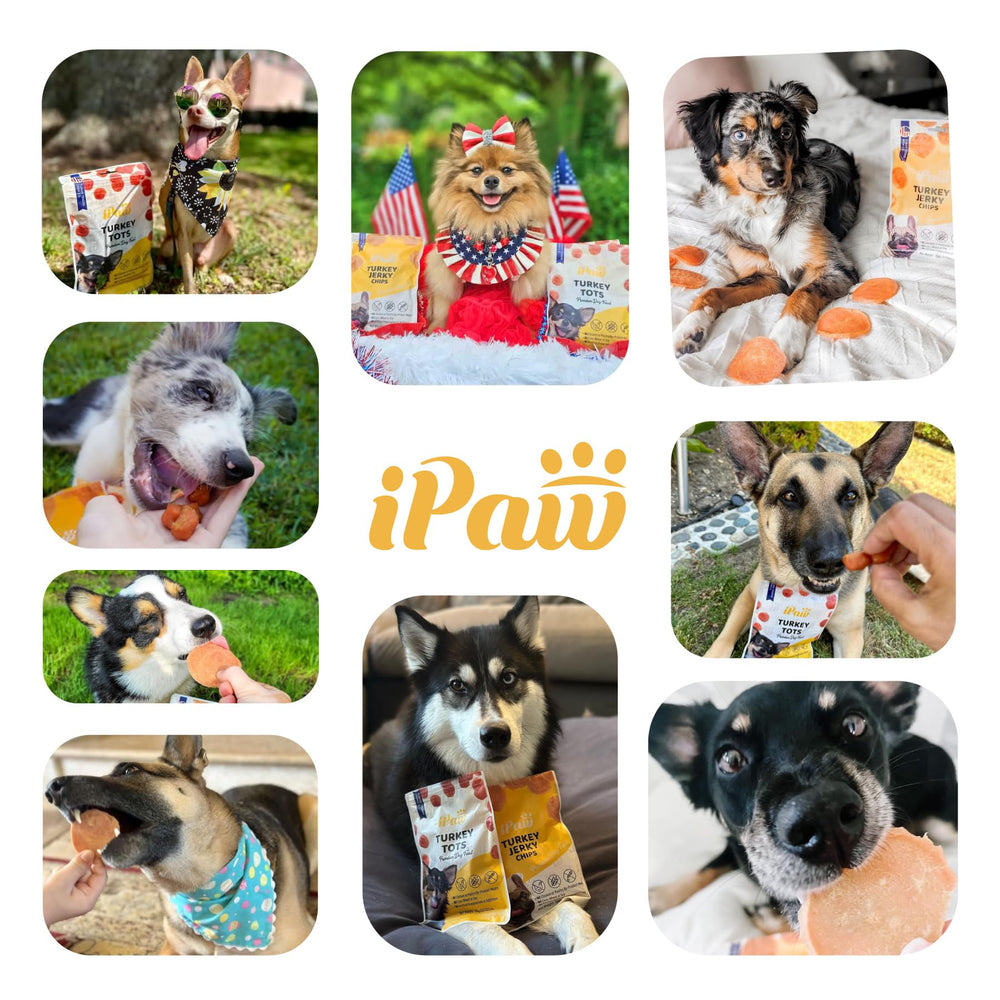 iPaw 2 Saver Combo sin granos: opción hipoalergénica para estómagos sensibles.