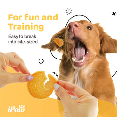 iPaw 2 Saver Combo premio para perros: snack práctico para refuerzo positivo.