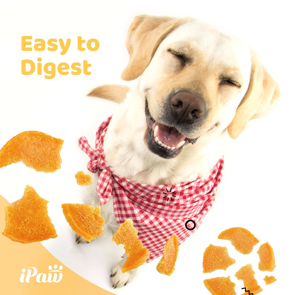 iPaw 2 Saver Combo perro entrenando: premio sabroso para progreso en obediencia.