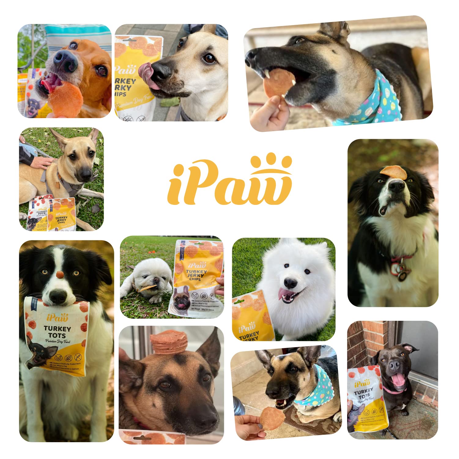 iPaw 5 conjunto de reposición adecuado para perros pequeños y cachorros