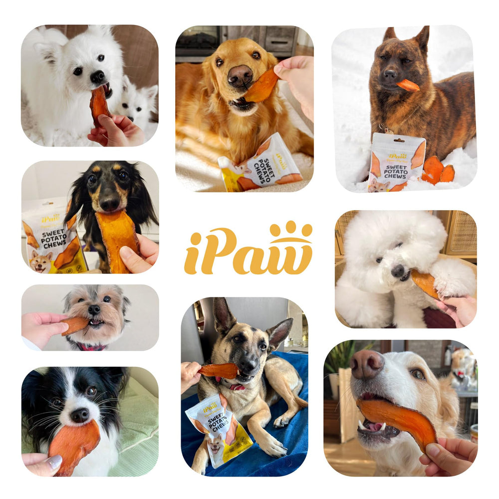 iPaw chuches batata dulce dos paquetes para casa