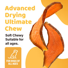 iPaw chuches batata dulce perro masticando snack sabroso y fácil de digerir