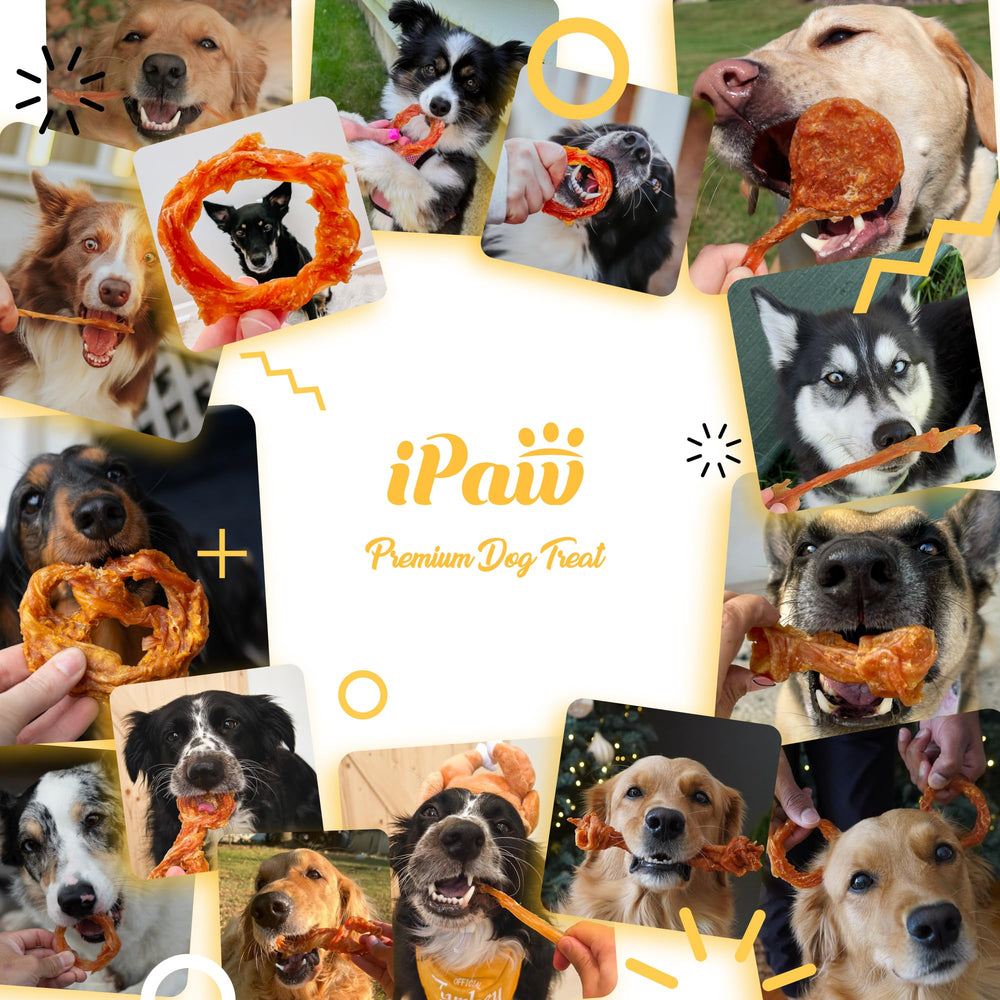 iPaw paquete de 10 piezas, opción conveniente para masticar diario.