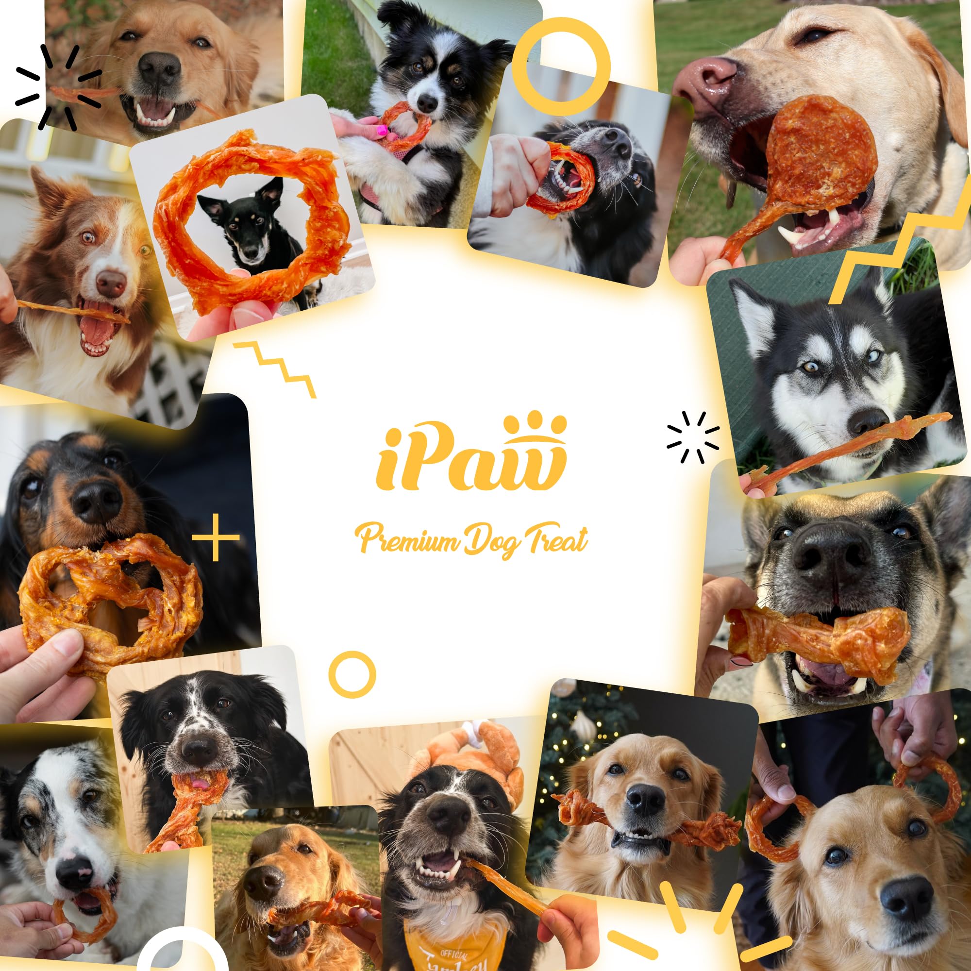 iPaw Tendón de pavo para perros, apoya la higiene dental durante el juego.