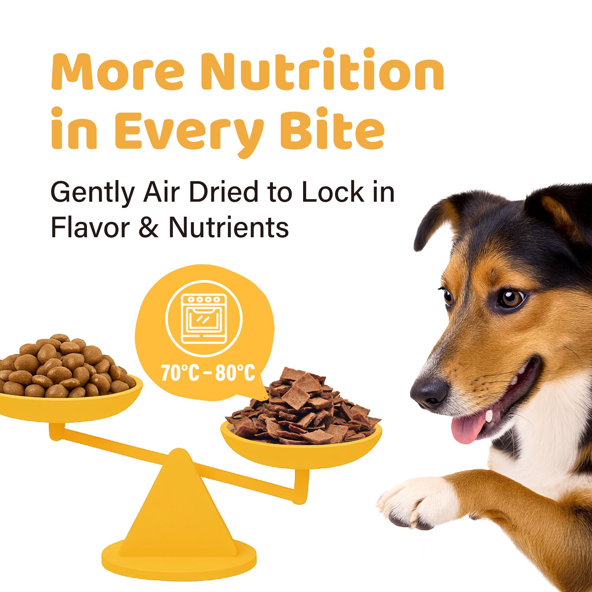 iPaw textura suave para perros mayores y dientes sensibles.