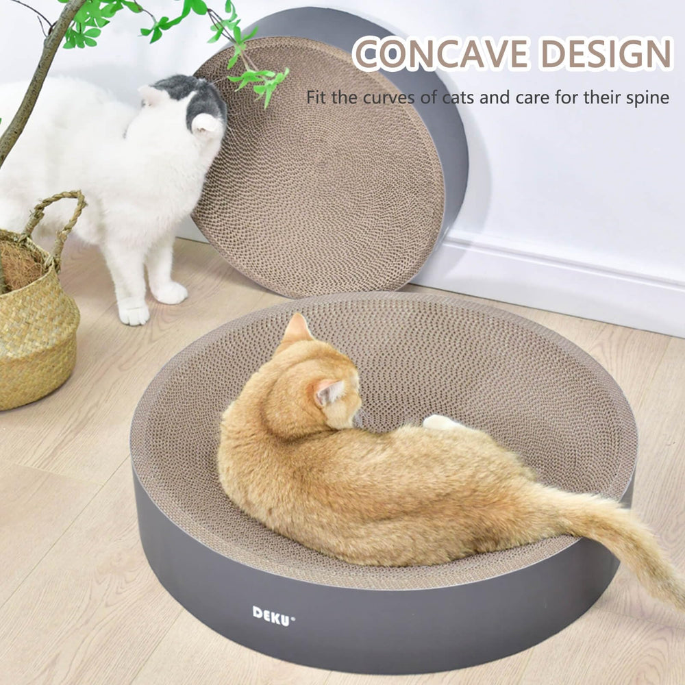 IPEAIN cama-gato curva ofrece descanso cómodo tras el juego.